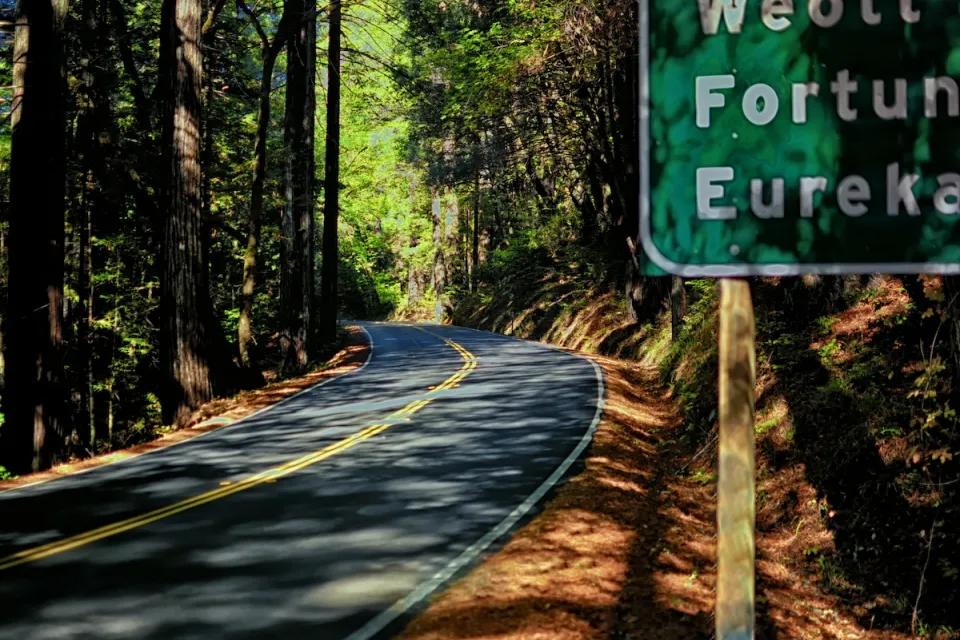 Highway 101 winding through redwood trees with road sign for Eureka, CA partially visible in top right.